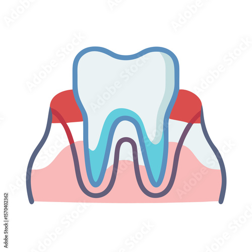 Simplified tooth cross section showcasing gum health illustration graphic