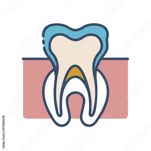 Stylized tooth illustration showcasing dental anatomy with a White Background