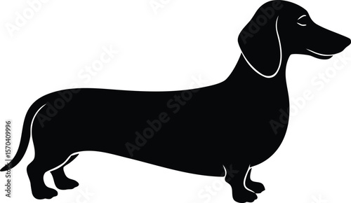 dachshund silhouette vector minimal pet animal clipart
