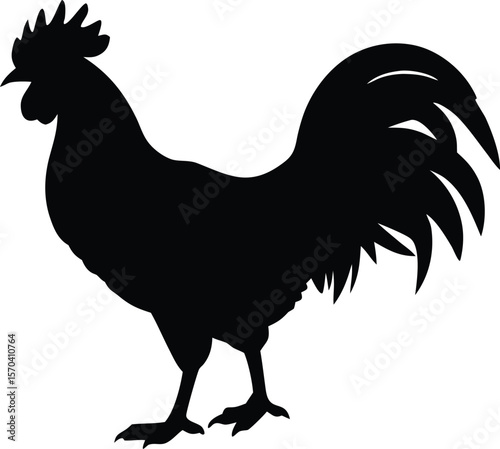cock silhouette vector for logo and branding use