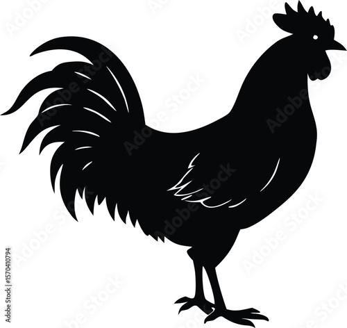 cock silhouette vector farm animal illustration design