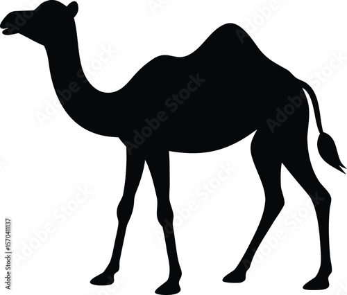 camel silhouette vector desert animal illustration design