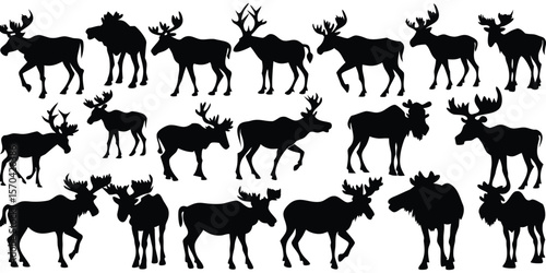 Moose Silhouettes Set Large Pack Of Vector Silhou Silhouette