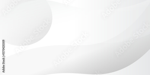Abstract minimalist white and gray curve modern background. texture white pattern. vector illustration