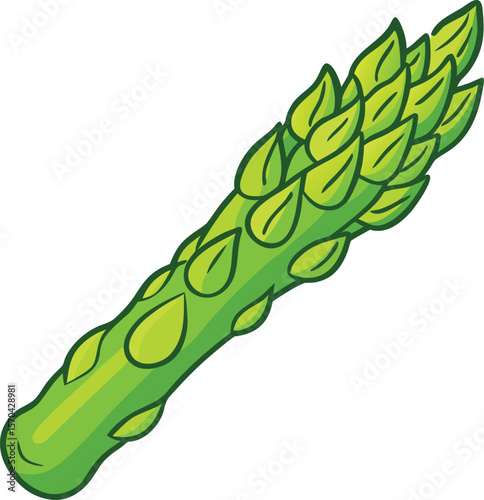 Green asparagus vegetable with leaves food healthy