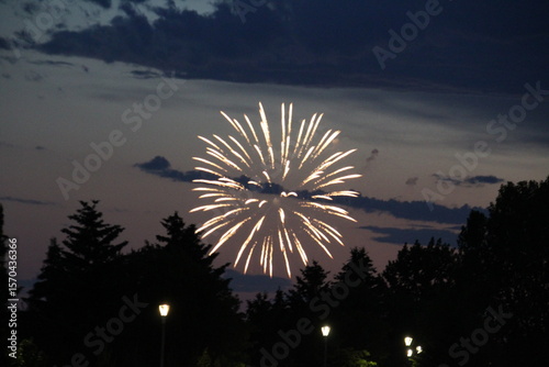 fireworks in the sky