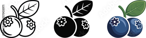 Three blueberry illustrations in line art, silhouette, and color with a leaf on a white background