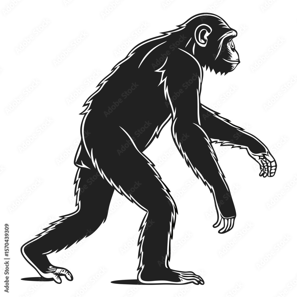Fototapeta premium Ape Silhouette Isolated Wild Animal on White Background