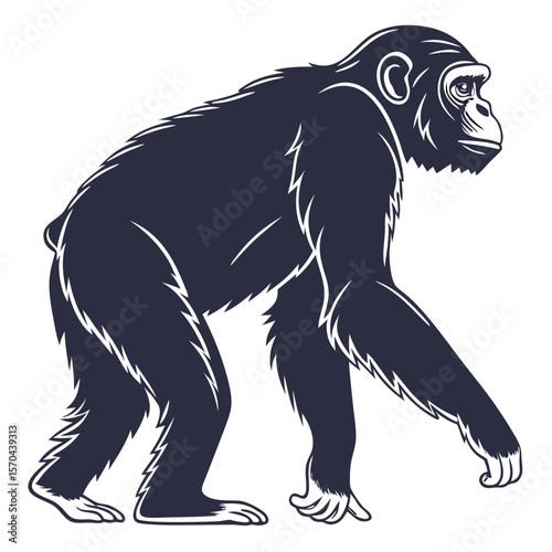 Ape Silhouette Isolated Wild Animal on White Background