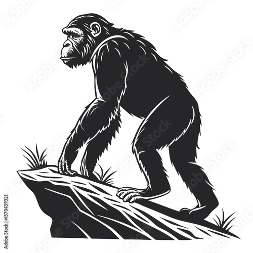 Ape Silhouette Isolated Wild Animal on White Background