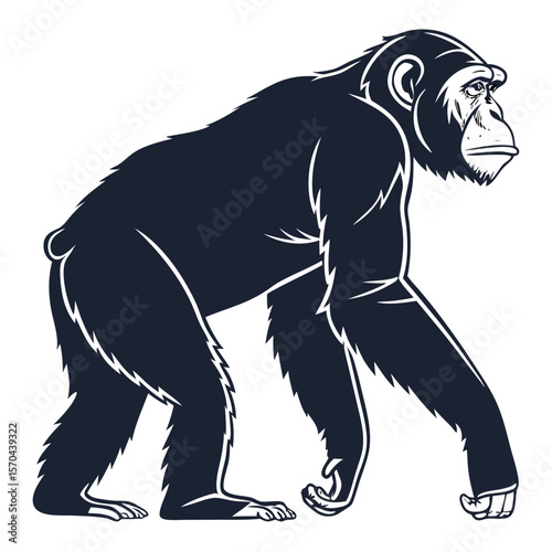 Ape Silhouette Isolated Wild Animal on White Background
