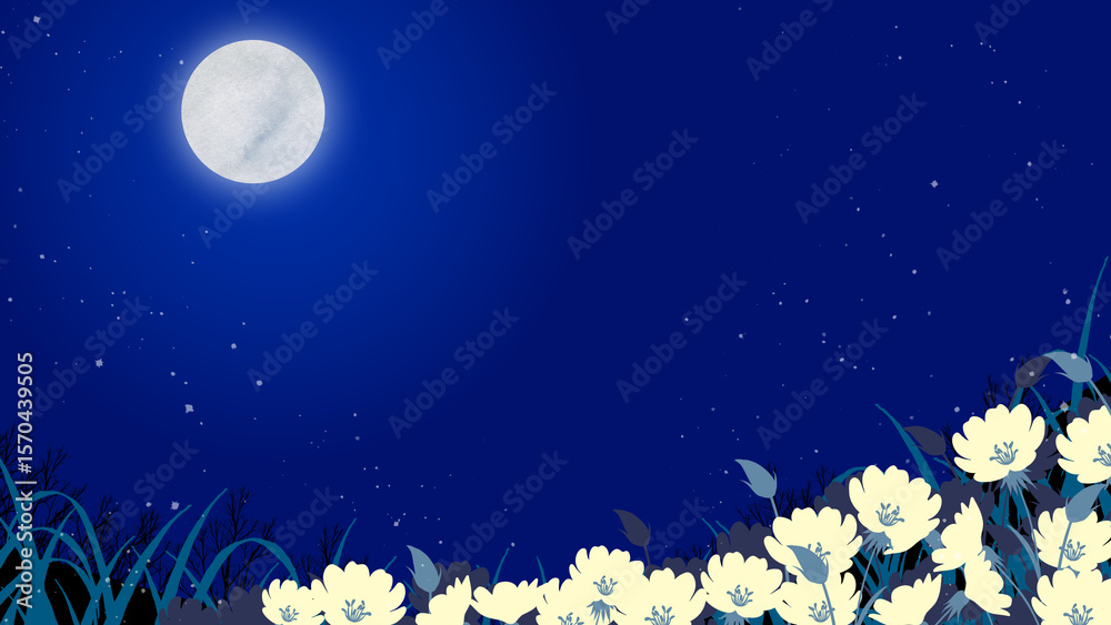 Fototapeta premium 満月と月見草の花畑の夜の風景イラスト