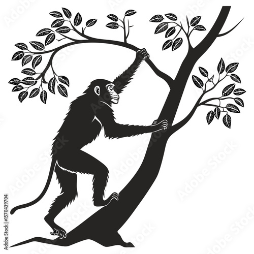 Monkey Silhouette Isolated Wild Animal on White Background
