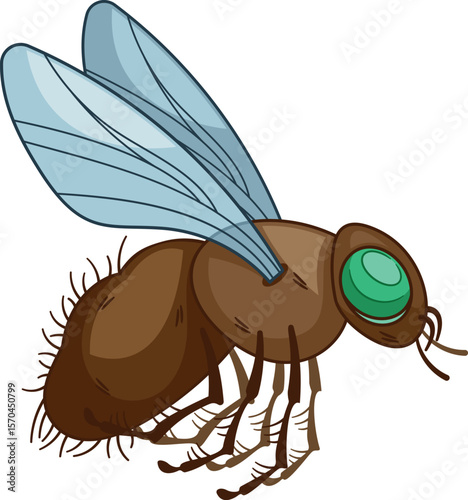 Fly insect flying and buzzing