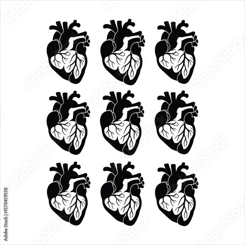 Anatomical hearts black and white pattern human heart cardiovascular