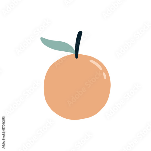 Sapodilla fruit design vector illustration