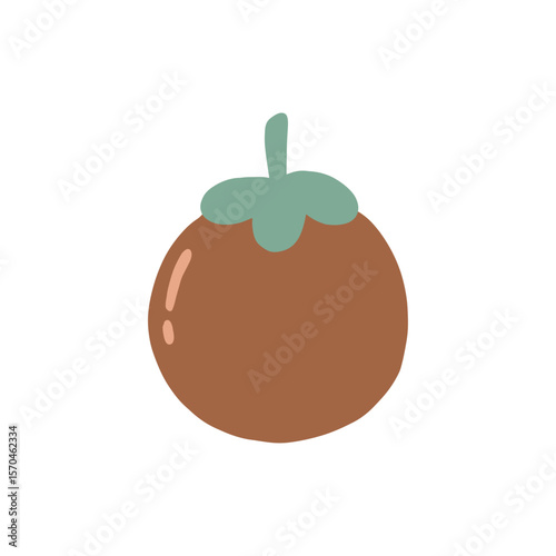 Sapodilla fruit design vector illustration