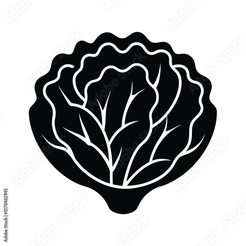 Lettuce Icon Outline Vector Illustration
