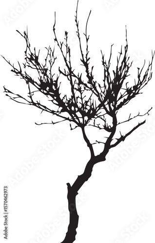 A single, bare tree silhouette with branches reaching toward the sky, perfect for a vector illustration of nature in winter or autumn