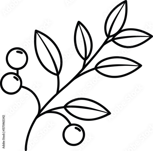 Simple cranberry branch line art vector illustration