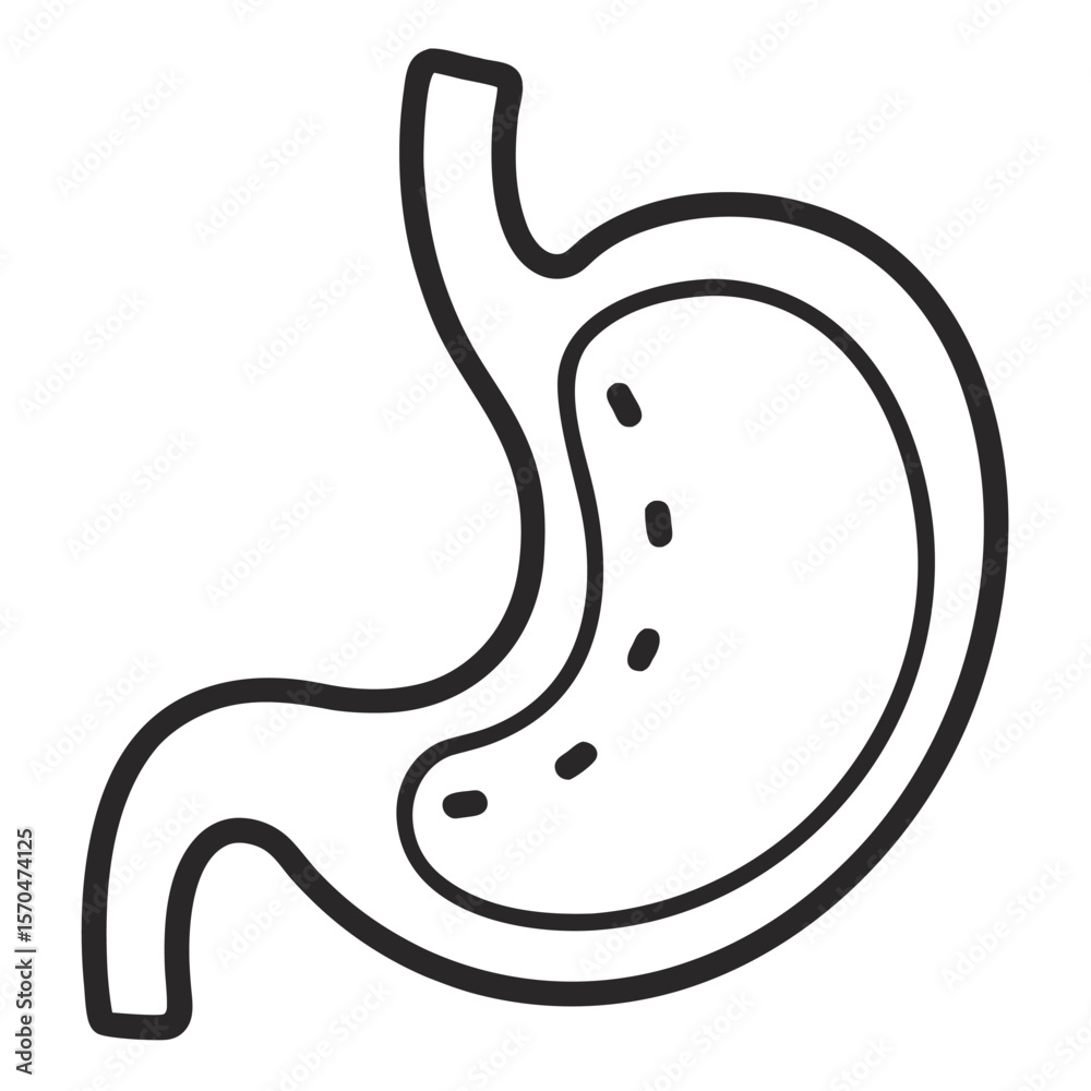 vector illustration of stomach vector illustration of stomach