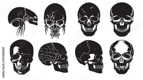 Silhouettes Human and alien skulls , black silhouettes isolated on white background