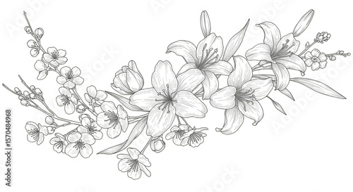 Floral White Branch on Transparent Background Isolated Illustration