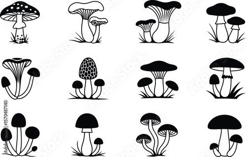 Twelve Black and White Mushroom Illustrations mushrooms 1