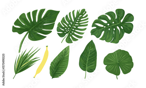 Set of flat style leaf collection hand drawn design vector element. botanical set of foliage branch for wedding poster invitation design element