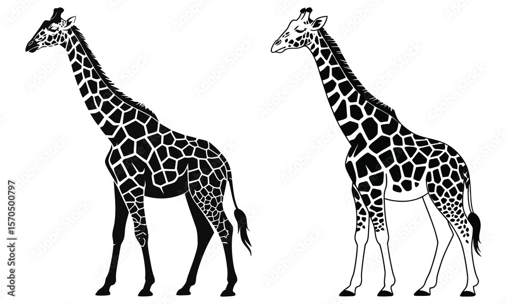 Naklejka premium giraffe vector illustration