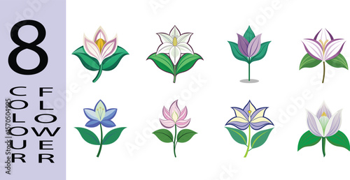Hosta Flower Flat Illustration Shade-Loving Foliage Plant with Lavender Blooms