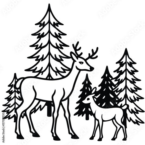 Deer and fawn standing in a forest with pine trees silhouette