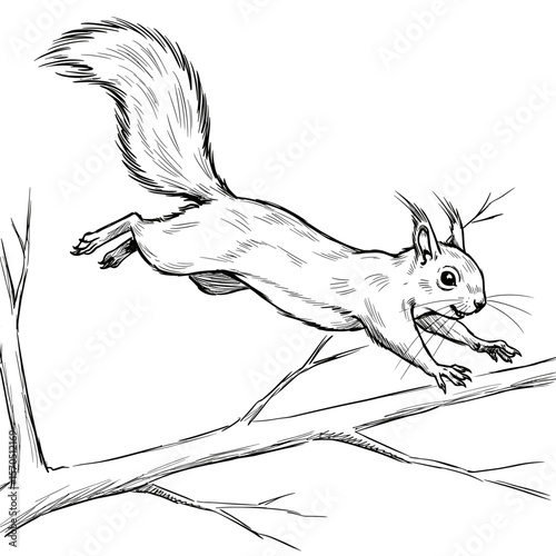 A dynamic black-and-white illustration of a squirrel leaping mid-air between tree branches, with its body fully extended and bushy tail trailing behind, capturing motion and agility in nature.