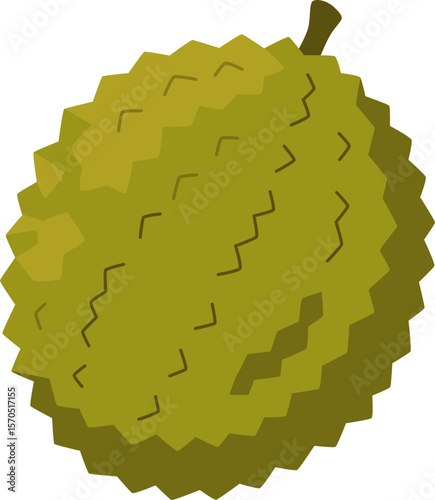 Durian Fruit Illustration

