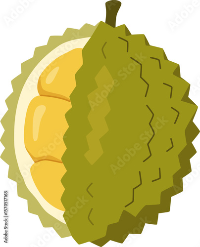 Durian Half with Seed Illustration

