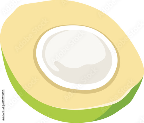 Half Coconut Illustration

