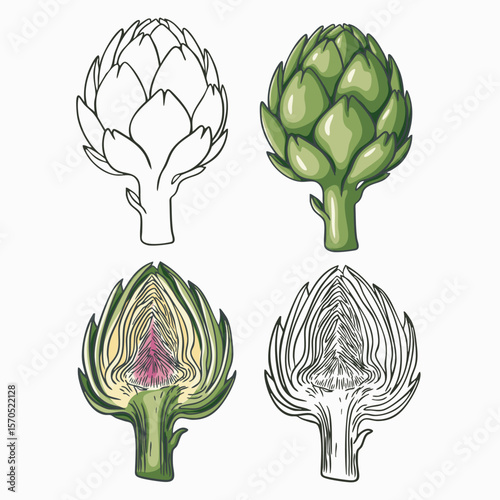 Artichoke set consists of a coloring page and a colored version in a simple style