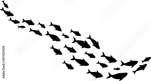 School of Fish Silhouette