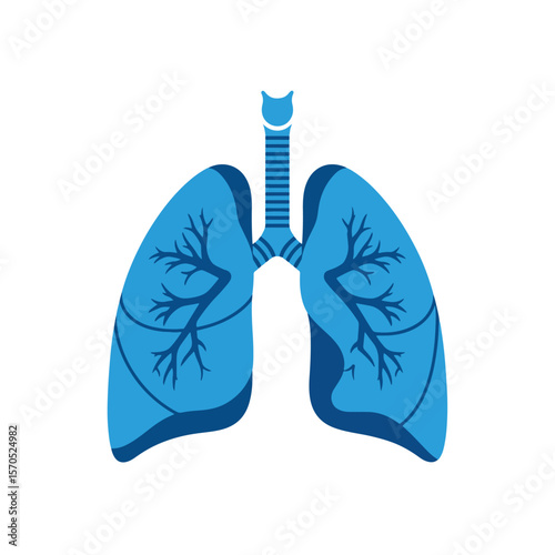 Vector Illustration of Human Lungs and Trachea