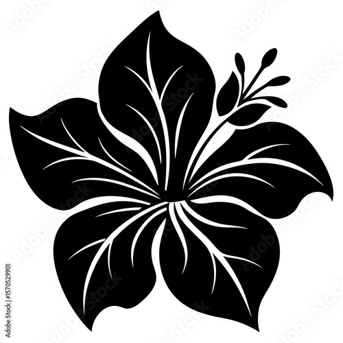 Elegant black silhouette of a hibiscus flower with detailed petals