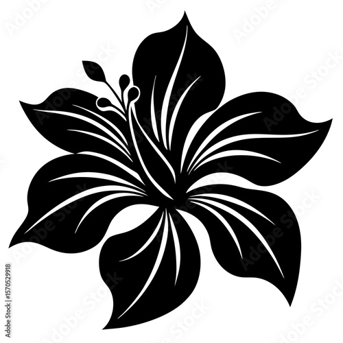 Stylized black hibiscus flower silhouette with delicate white petal lines
