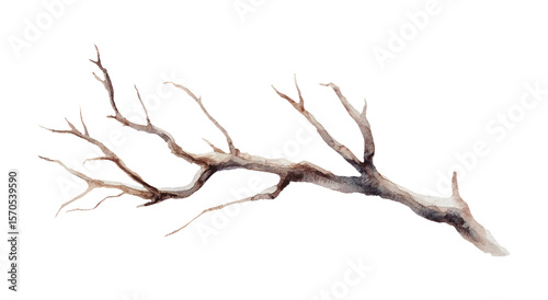 Watercolor illustration of a bare branch isolated on white background