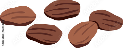 Cocoa beans

