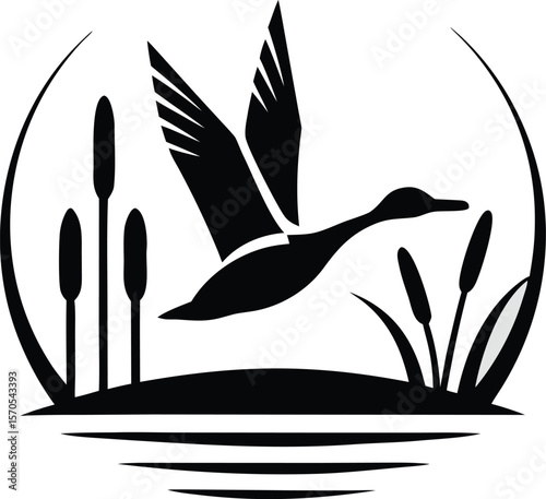 vector illustration of a swan
