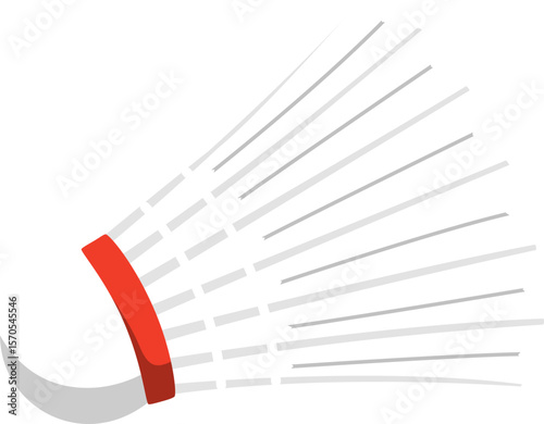 Badminton Shuttlecock

