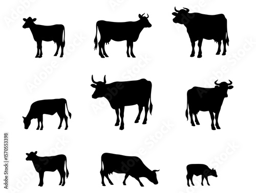 Cool illustration. Black silhouette on white background. Cow.