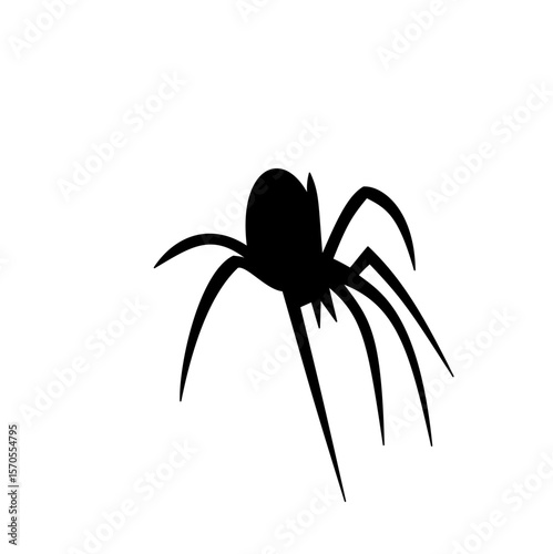 Spider siluet illustration