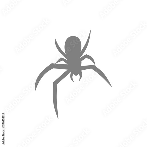 Spider siluet illustration