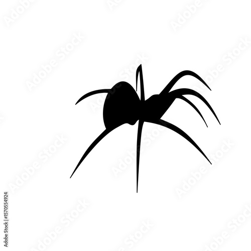Spider siluet illustration