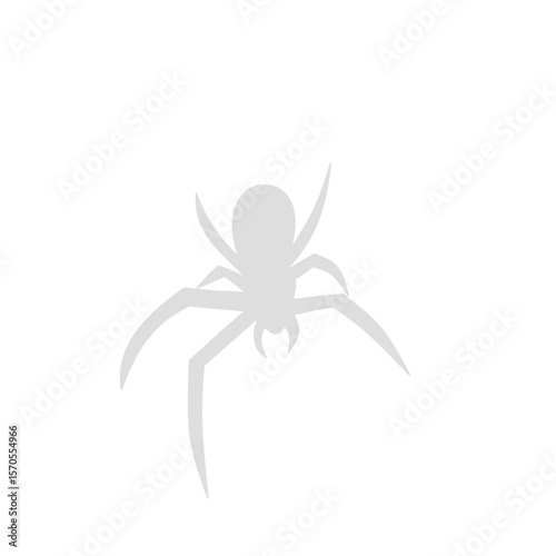 Spider siluet illustration